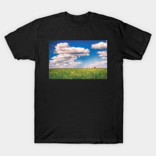 Remembering Summer T-Shirt